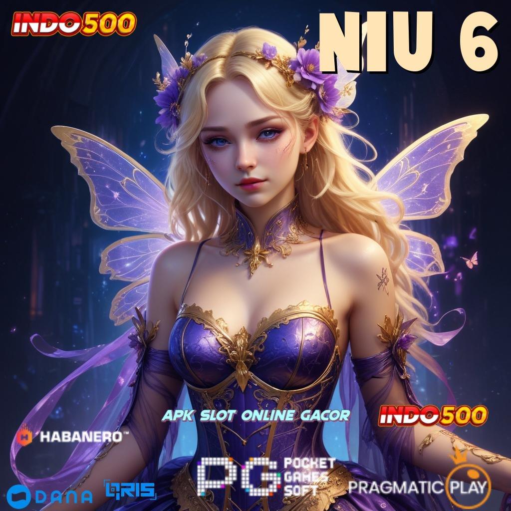 Niu 6